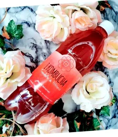 Kombucha mentával