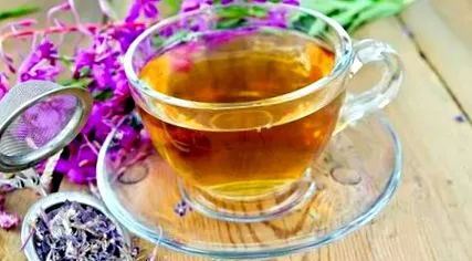ivan-tea