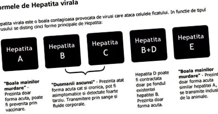 hepatitis hepatitis