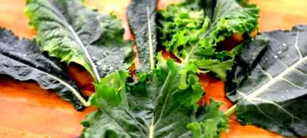 kale