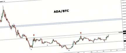 crypto