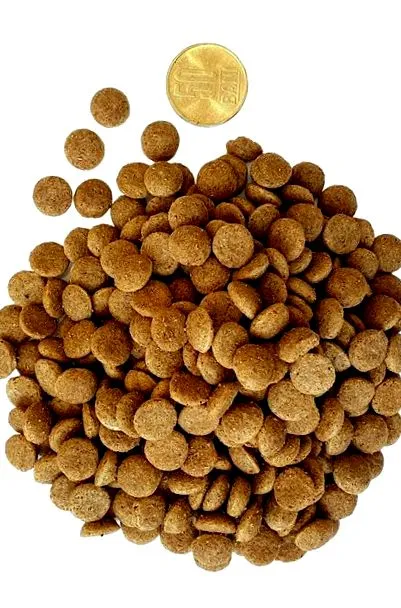 fiatal felnőtt