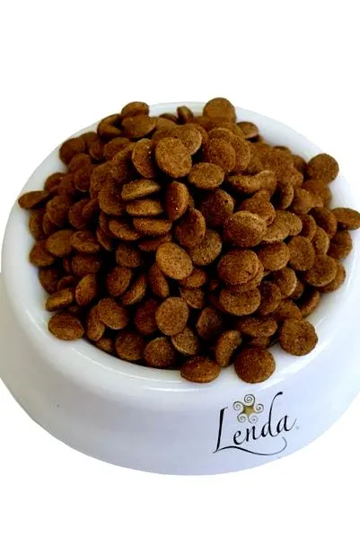 fiatal felnőtt