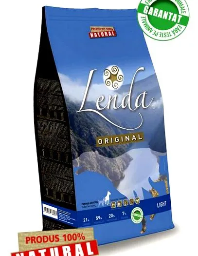fiatal felnőtt
