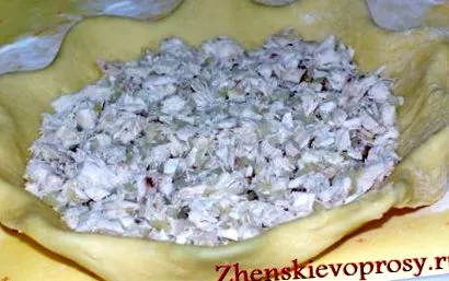lépésre kurnik