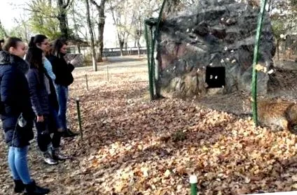 állatkertben újságíróóra