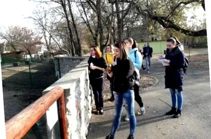 fotó nagyváradi