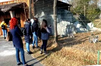 nagyváradi újságíróóra