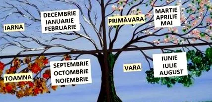 топлите земји Здрава кутија