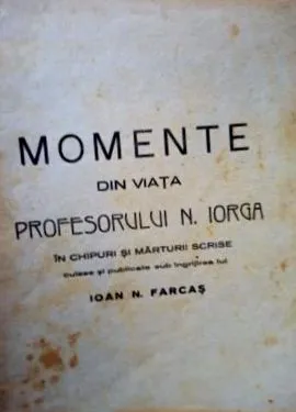 lucia nedelea