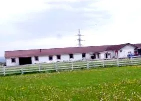минулих