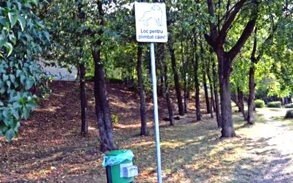 ahol