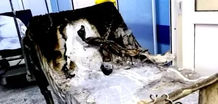 прихильники