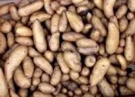 egészséges