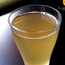 kombucha kombucha