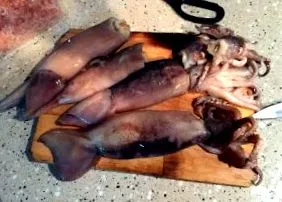 кальмари