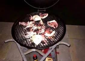 кальмари