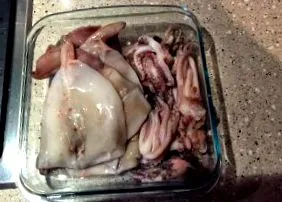 кальмари