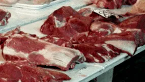 jelentés általunk