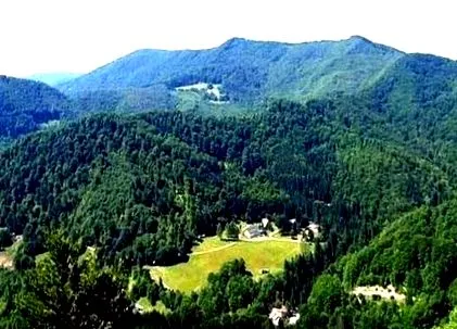романија романија
