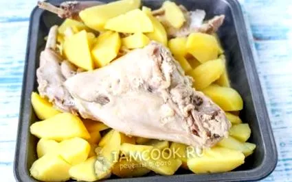 магдонос моркови