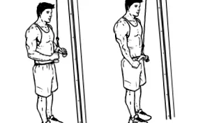 svalová triceps
