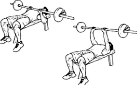 triceps najlepšie
