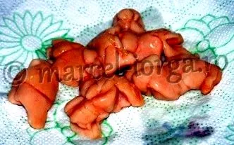 pontytej