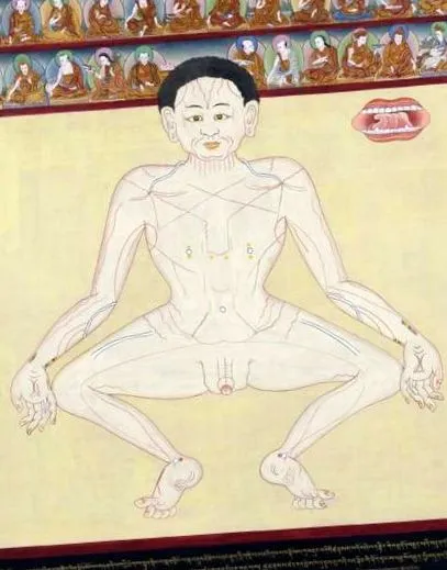 orvostudomány