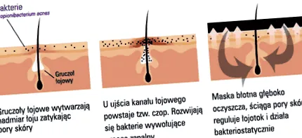 kollagén kollagén