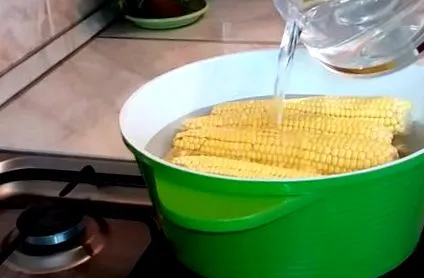 megőrzésére kukorica