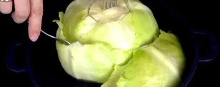 leveleinek leveleinek