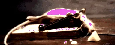дојде