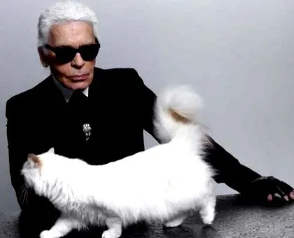 lagerfeld