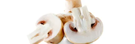 érdekes aroma