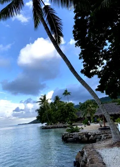 moorea francia