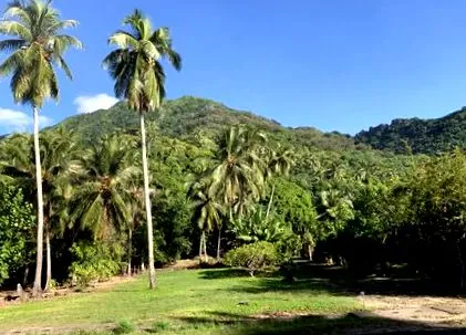 moorea francia
