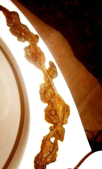 növényi rostokkal fotógaléria