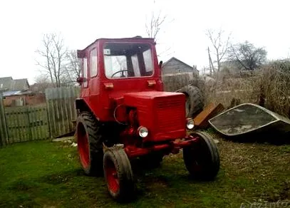 бубрег левиот