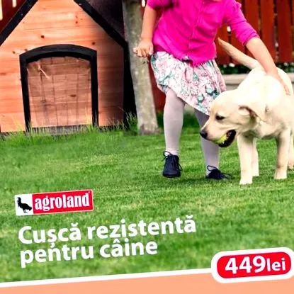 грижа кучета