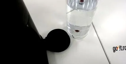 expert