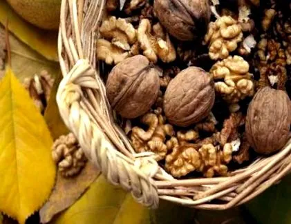 okot