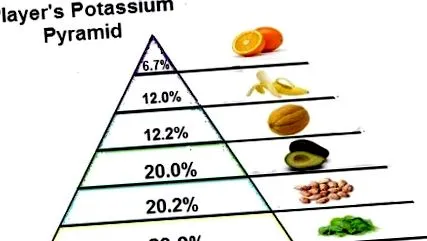 akadémia