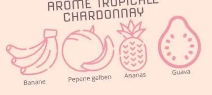 шардоне Шардоне Шардоне