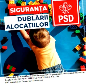 növényzet video