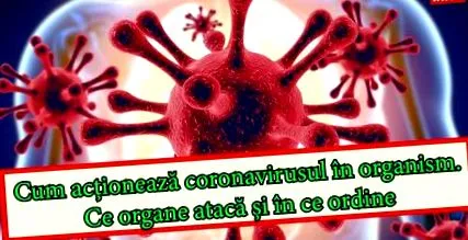 paraziták