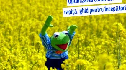 kezdőknek