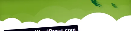wordpress-opciók