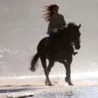 fényképezésre fényképezésre