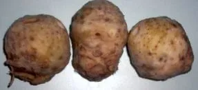 здрав